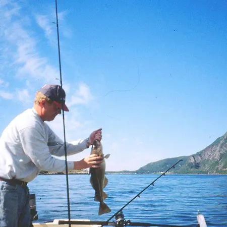 6 Person In Sandhornoy * Rossnes