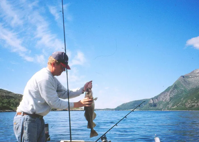 6 Person In Sandhornoy * Rossnes